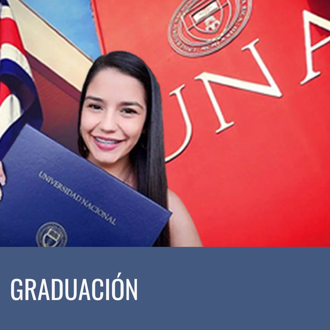 Haga clic en la flecha para ingresar al